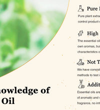 EUQEE 10ml Natural Essential Oils – For Diffusers, DIY Soap & Candle Making