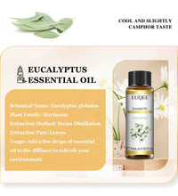 EUQEE 10ml Natural Essential Oils – For Diffusers, DIY Soap & Candle Making