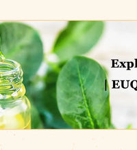 EUQEE 10ml Natural Essential Oils – For Diffusers, DIY Soap & Candle Making